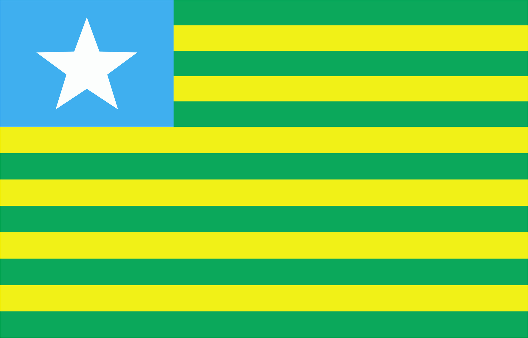 Flag of Piauí 